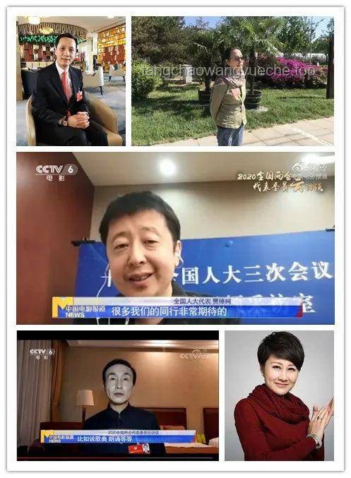 黄杨钿甜事件透视：公共监督下的行业镜像与挑战
